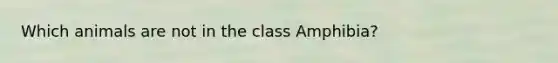 Which animals are not in the class Amphibia?