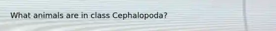 What animals are in class Cephalopoda?