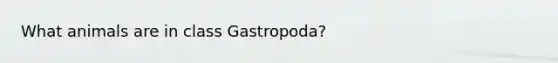 What animals are in class Gastropoda?