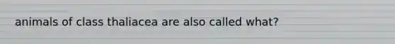 animals of class thaliacea are also called what?