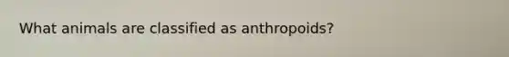 What animals are classified as anthropoids?