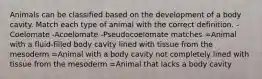 Animals can be classified based on the development of a body cavity. Match each type of animal with the correct definition. -Coelomate -Acoelomate -Pseudocoelomate matches =Animal with a fluid-filled body cavity lined with tissue from the mesoderm =Animal with a body cavity not completely lined with tissue from the mesoderm =Animal that lacks a body cavity