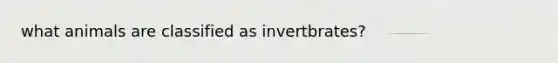 what animals are classified as invertbrates?