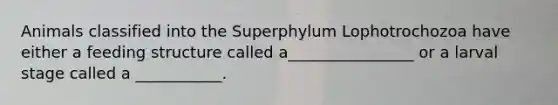 Animals classified into the Superphylum Lophotrochozoa have either a feeding structure called a________________ or a larval stage called a ___________.