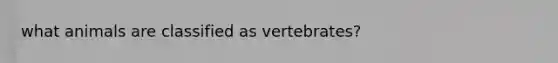 what animals are classified as vertebrates?