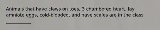 Animals that have claws on toes, 3 chambered heart, lay amniote eggs, cold-blooded, and have scales are in the class ___________