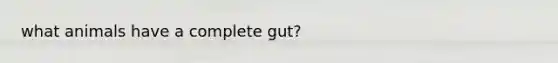 what animals have a complete gut?