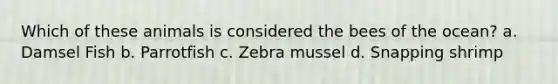 Which of these animals is considered the bees of the ocean? a. Damsel Fish b. Parrotfish c. Zebra mussel d. Snapping shrimp