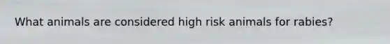 What animals are considered high risk animals for rabies?