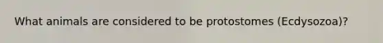 What animals are considered to be protostomes (Ecdysozoa)?