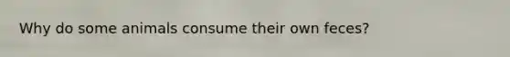 Why do some animals consume their own feces?