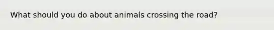 What should you do about animals crossing the road?