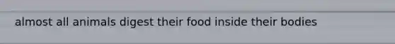 almost all animals digest their food inside their bodies