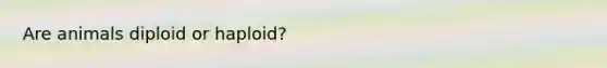 Are animals diploid or haploid?