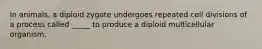 In animals, a diploid zygote undergoes repeated cell divisions of a process called _____ to produce a diploid multicellular organism.