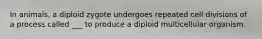 In animals, a diploid zygote undergoes repeated cell divisions of a process called ___ to produce a diploid multicellular organism.