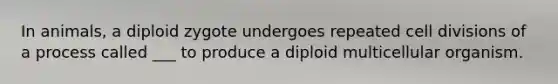 In animals, a diploid zygote undergoes repeated cell divisions of a process called ___ to produce a diploid multicellular organism.