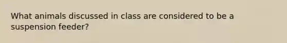 What animals discussed in class are considered to be a suspension feeder?