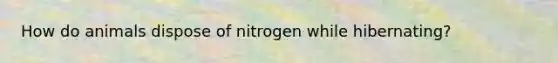 How do animals dispose of nitrogen while hibernating?