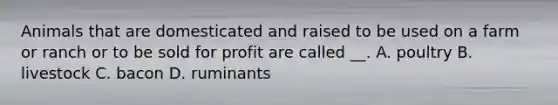 Animals that are domesticated and raised to be used on a farm or ranch or to be sold for profit are called __. A. poultry B. livestock C. bacon D. ruminants