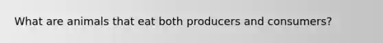 What are animals that eat both producers and consumers?