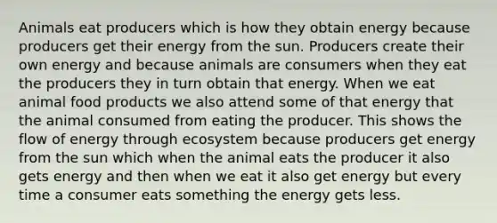 Animals eat producers which is how they obtain energy because producers get their energy from the sun. Producers create their own energy and because animals are consumers when they eat the producers they in turn obtain that energy. When we eat animal food products we also attend some of that energy that the animal consumed from eating the producer. This shows the flow of energy through ecosystem because producers get energy from the sun which when the animal eats the producer it also gets energy and then when we eat it also get energy but every time a consumer eats something the energy gets less.