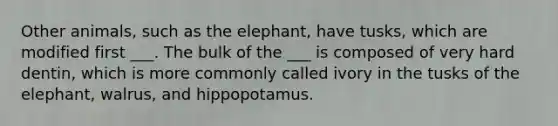 Other animals, such as the elephant, have tusks, which are modified first ___. The bulk of the ___ is composed of very hard dentin, which is more commonly called ivory in the tusks of the elephant, walrus, and hippopotamus.