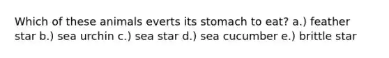 Which of these animals everts its stomach to eat? a.) feather star b.) sea urchin c.) sea star d.) sea cucumber e.) brittle star