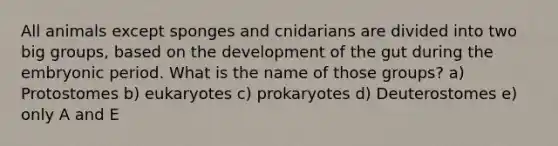 All animals except sponges and cnidarians are divided into two big groups, based on the development of the gut during the embryonic period. What is the name of those groups? a) Protostomes b) eukaryotes c) prokaryotes d) Deuterostomes e) only A and E