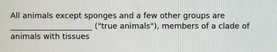 All animals except sponges and a few other groups are _____________________ ("true animals"), members of a clade of animals with tissues