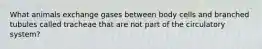 What animals exchange gases between body cells and branched tubules called tracheae that are not part of the circulatory system?