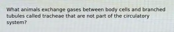 What animals exchange gases between body cells and branched tubules called tracheae that are not part of the circulatory system?