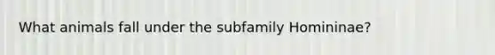 What animals fall under the subfamily Homininae?