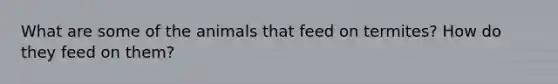 What are some of the animals that feed on termites? How do they feed on them?