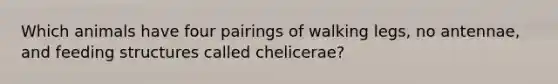 Which animals have four pairings of walking legs, no antennae, and feeding structures called chelicerae?