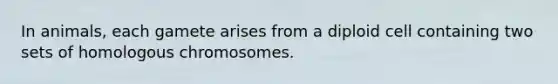 In animals, each gamete arises from a diploid cell containing two sets of homologous chromosomes.