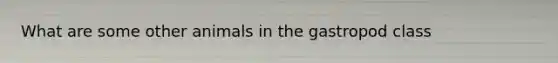 What are some other animals in the gastropod class