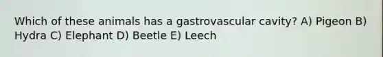 Which of these animals has a gastrovascular cavity? A) Pigeon B) Hydra C) Elephant D) Beetle E) Leech