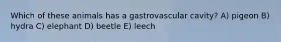 Which of these animals has a gastrovascular cavity? A) pigeon B) hydra C) elephant D) beetle E) leech