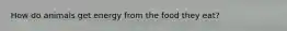 How do animals get energy from the food they eat?