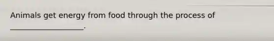 Animals get energy from food through the process of ___________________.