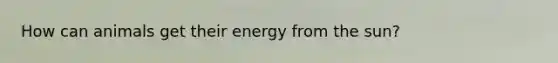 How can animals get their energy from the sun?