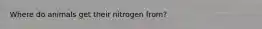 Where do animals get their nitrogen from?