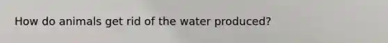 How do animals get rid of the water produced?