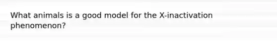 What animals is a good model for the X-inactivation phenomenon?