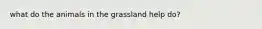 what do the animals in the grassland help do?