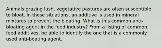 Animals grazing lush, vegetative pastures are often susceptible to bloat. In these situations, an additive is used in mineral mixtures to prevent the bloating. What is this common anti- bloating agent in the feed industry? From a listing of common feed additives, be able to identify the one that is a commonly used anti-boating agent.