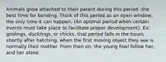 Animals grow attached to their parent during this period -the best time for bonding. Think of this period as an open window, the only time it can happen. (An optimal period when certain events must take place to facilitate proper development). Ex: goslings, ducklings, or chicks, that period falls in the hours shortly after hatching, when the first moving object they see is normally their mother. From then on, the young fowl follow her, and her alone.