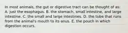 In most animals, the gut or digestive tract can be thought of as: A. just the esophagus. B. the stomach, small intestine, and large intestine. C. the small and large intestines. D. the tube that runs from the animal's mouth to its anus. E. the pouch in which digestion occurs.