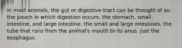 In most animals, the gut or digestive tract can be thought of as: the pouch in which digestion occurs. the stomach, small intestine, and large intestine. the small and large intestines. the tube that runs from the animal's mouth to its anus. just the esophagus.